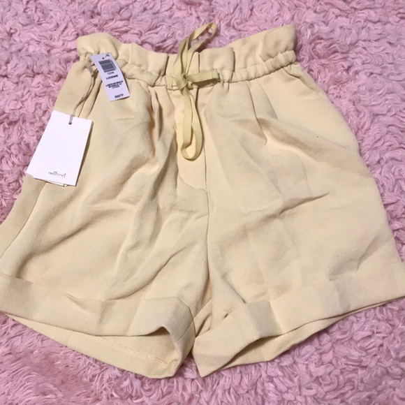 NWT! Aritzia Lucienne shorts - Picture 7 of 8